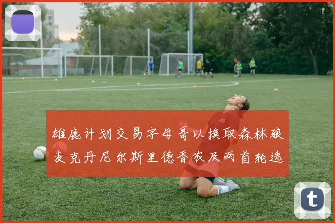 雄鹿计划交易字母哥以换取森林狼麦克丹尼尔斯里德香农及两首轮选秀权